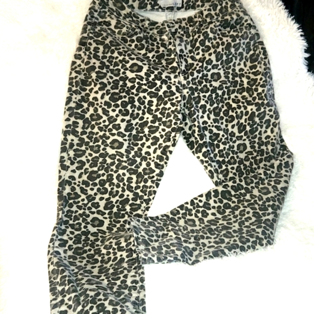Ann Taylor Loft Printed Jeans